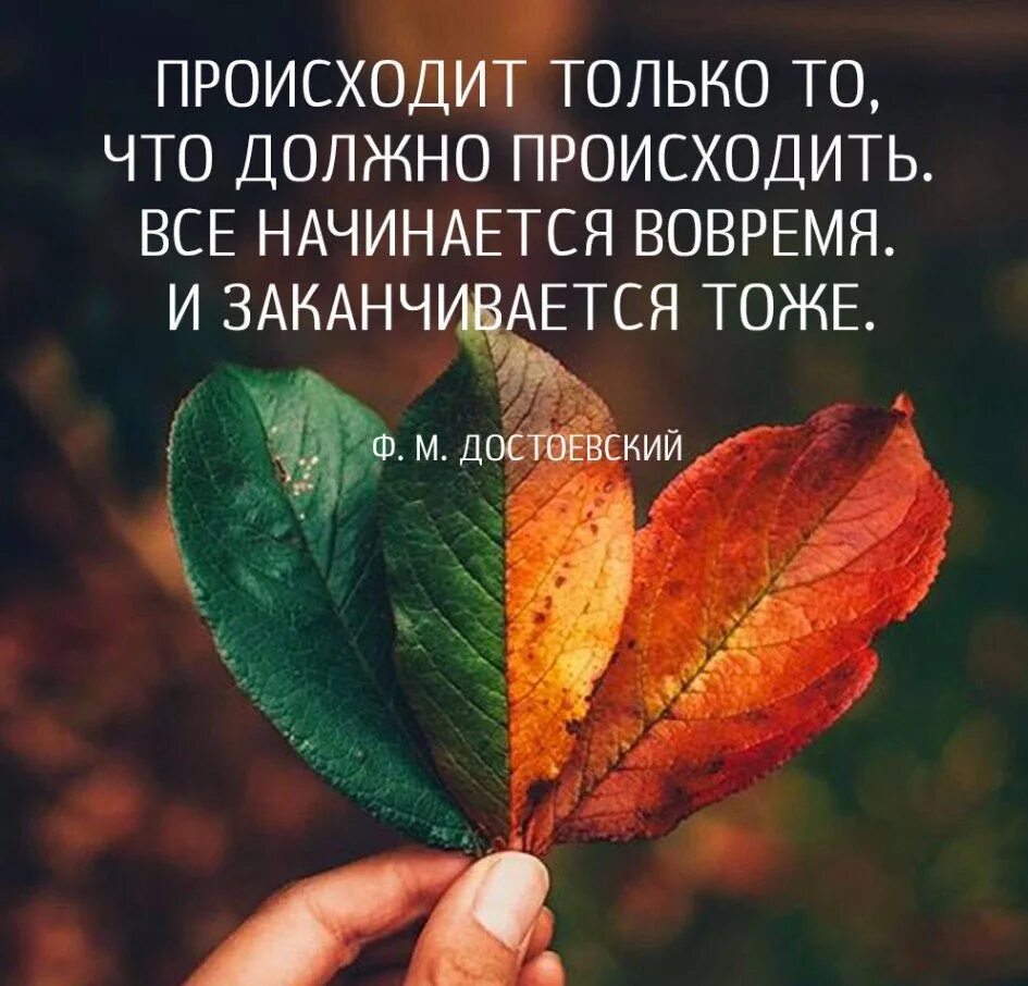 Ничего не бывает вовремя. Происходит то что должно происходить. Происходит только то что должно происходить. Все происходит так как должно быть. Все происходит вовремя цитата.