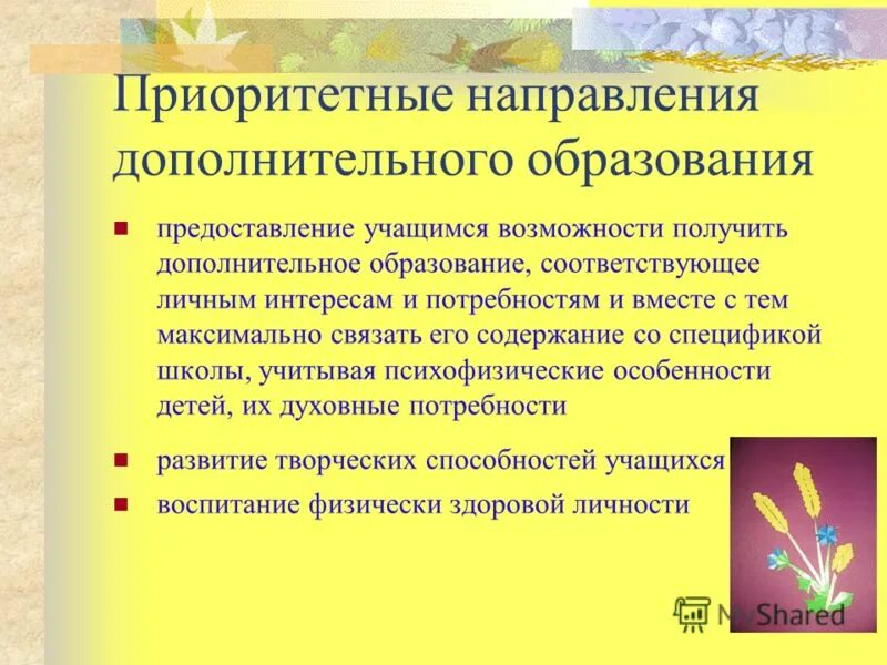 Презентация дополнительного. Направления дополнительного образования. направления работы педагога дополнительного образования. приоритетные направления дополнительного образования. дополнительное образование детей презентация.