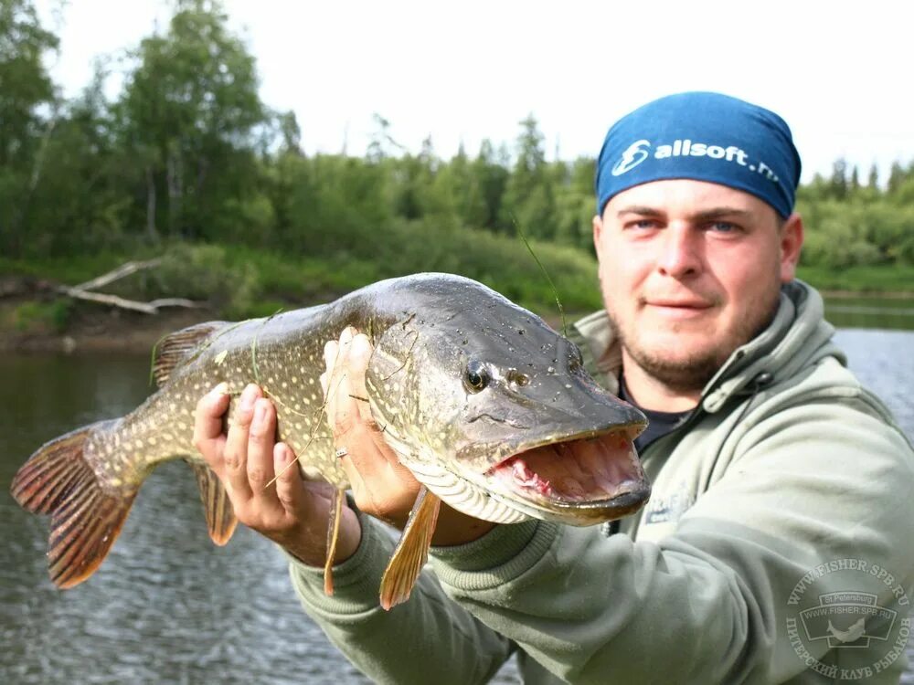 Рыбалка в Курской области. Большое рыболовное путешествие. Сайт питерского клуба рыбаков новости