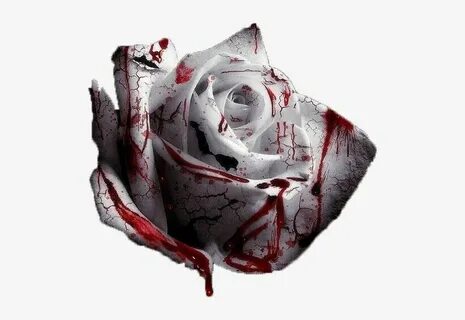 Blood rise