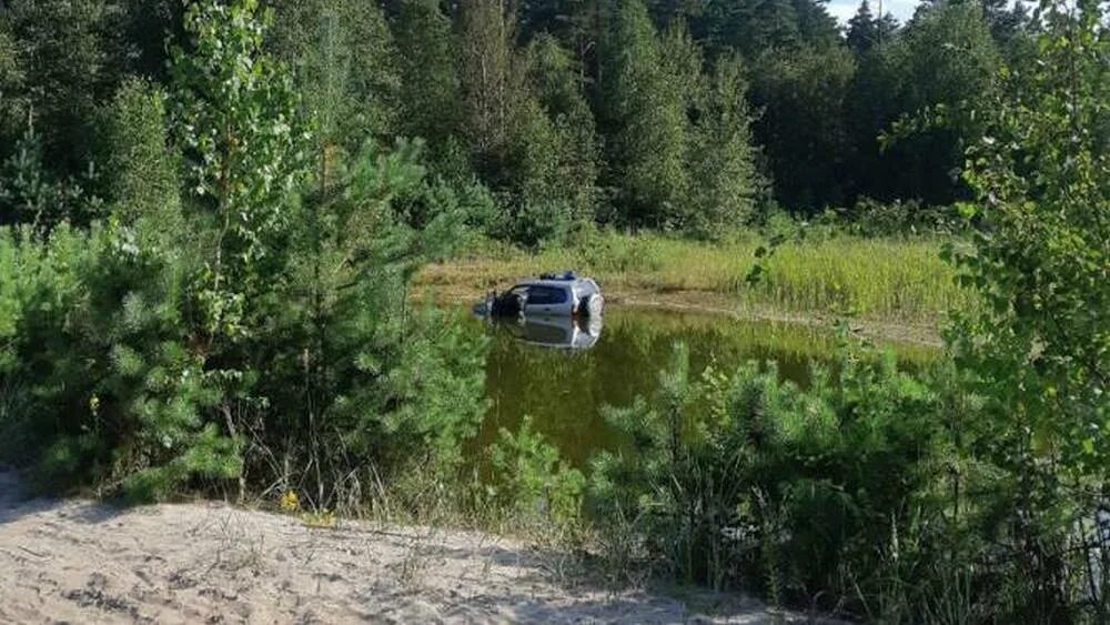 Озеро на мясокомбинате Брянск. Озеро 32 Брянск. Озерах водителем