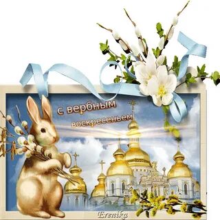 Живые картинки воскресенье