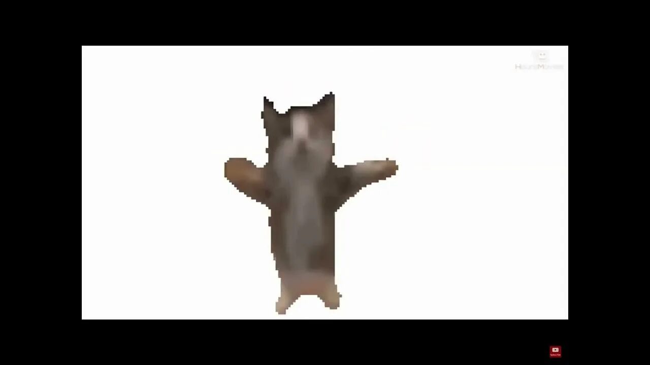 Шнап шнапи крокодил. Кот флексит. танцующий кот zxcursed. танцующий кот 10 часов. шни шна шнапи.