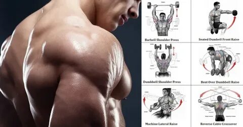 Your shoulders