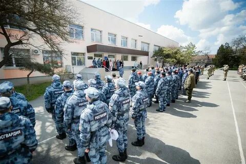 Омон беркут