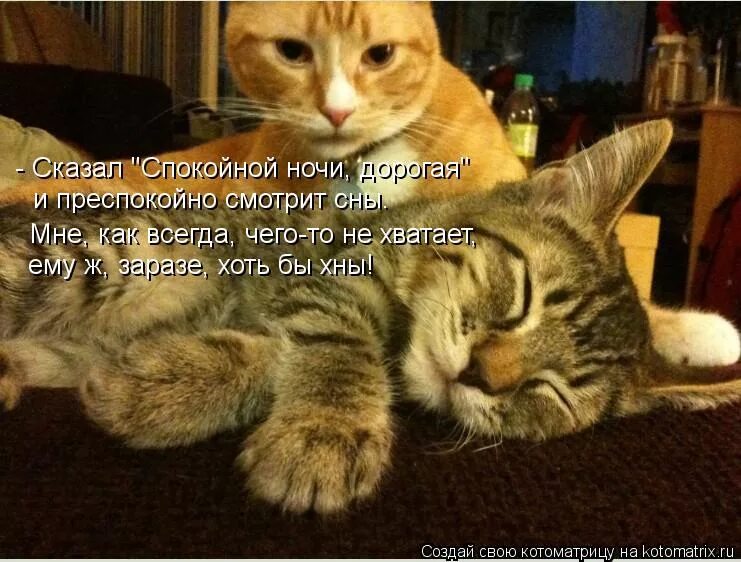 хоть спокойно. хочется цитаты. красивые мысли перед сном. ты не слышишь но я каждую ночь желаю тебе спокойной ночи. хоть спокойно.