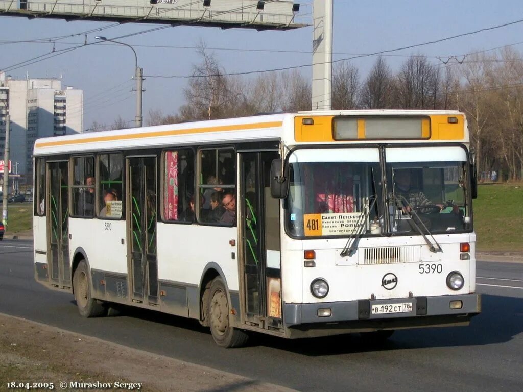 Расписание 481 автобуса с ропши. ЛИАЗ 5256.25. ЛИАЗ 481 маршрут. Маршрут 481 автобуса.