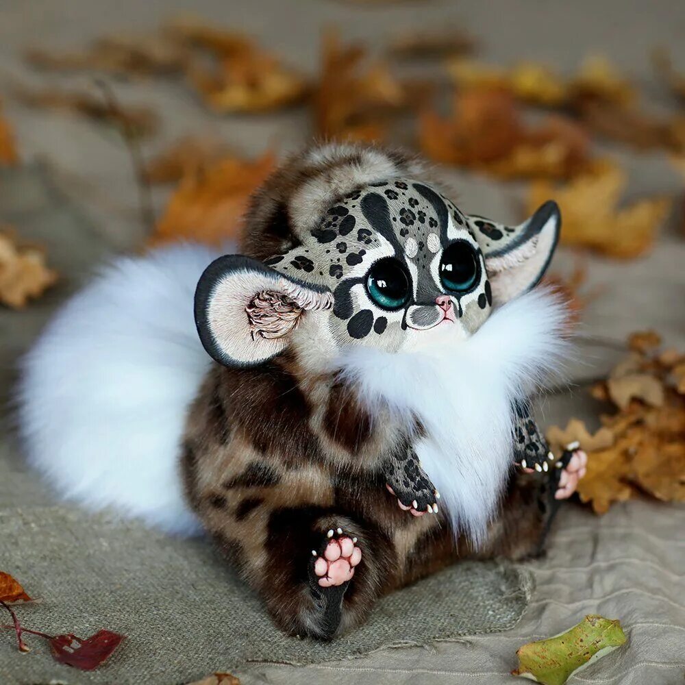 лисья помски. красивых животных настоящих. красивых животных настоящих. красивых животных настоящих. рысь альбинос.