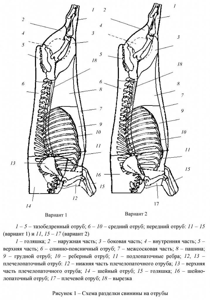 Схема разделки туши свиньи. Схема разделки свиной туши на отруба. схема разделки свиной туши гост. схема отрубов свинины. схема разделки свиной туши.