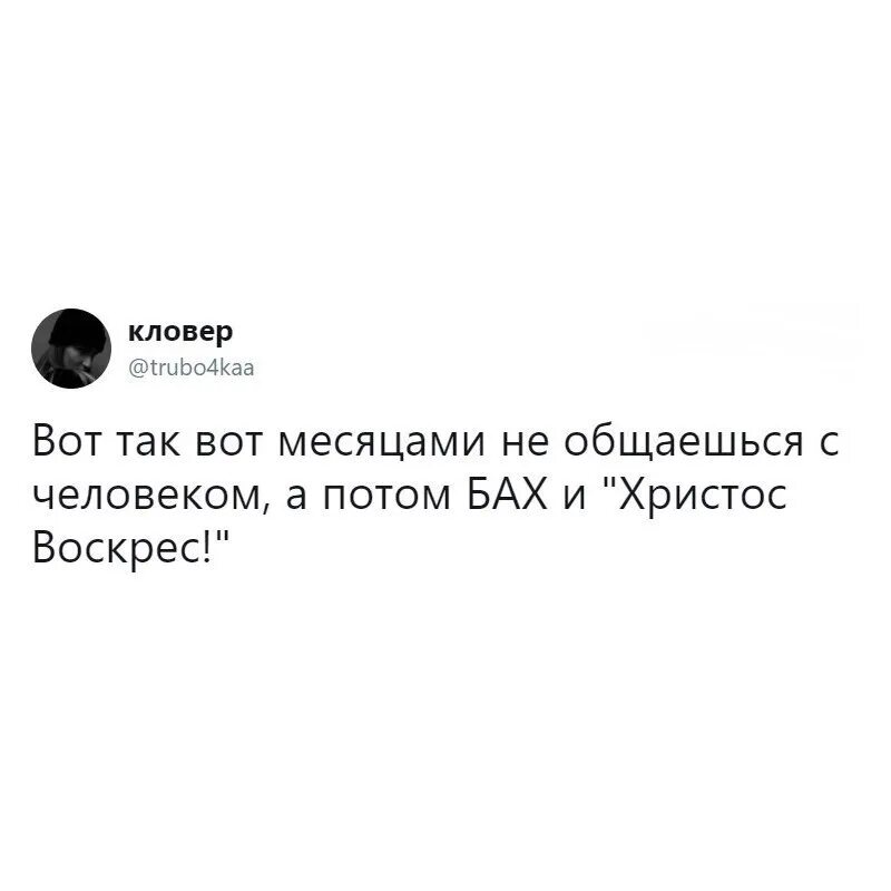 Переписываемся месяц. Прикольные цитаты Алексея Маркова. Смешные фразы из Геншина. Мне Нравится вот люди смеются а потом Христос воскрес.