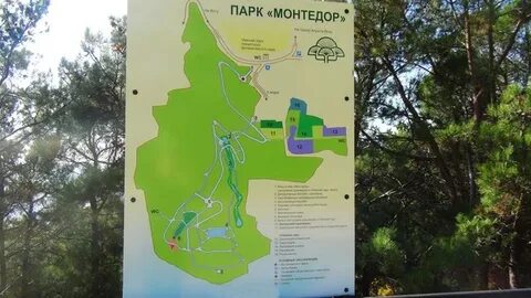 Адрес последний раз сему видели в парке