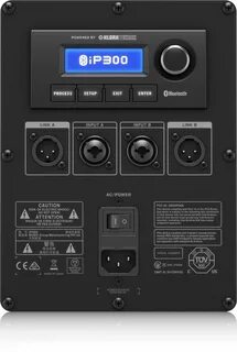 Ips 300