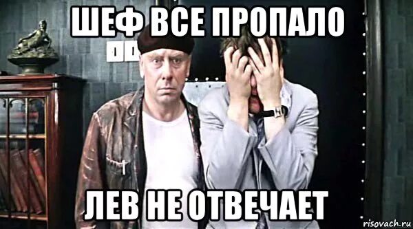 Шеф всё пропало. Шеф шеф все пропало. Шеф все пропало Мем. Картинка шеф все пропало. Шеф все пропало клиент