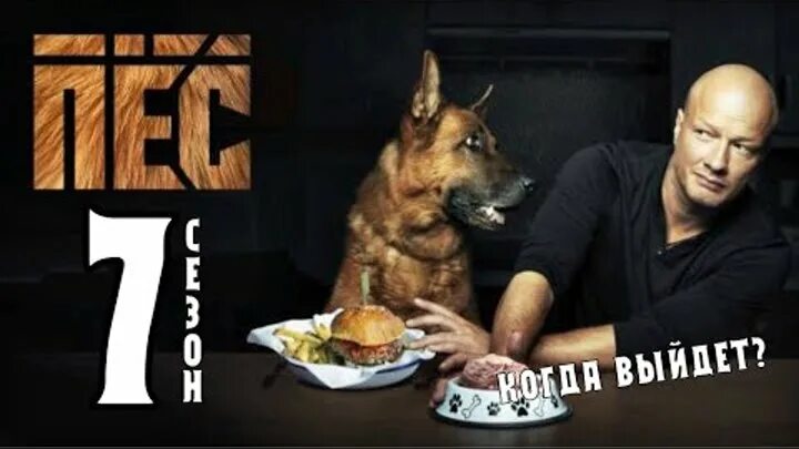 Включи пес будет. Включи пес будет. Включи пес будет. Включи пес будет. Включи пес будет.