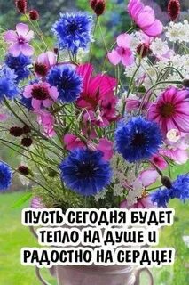 Пусть новый день картинки