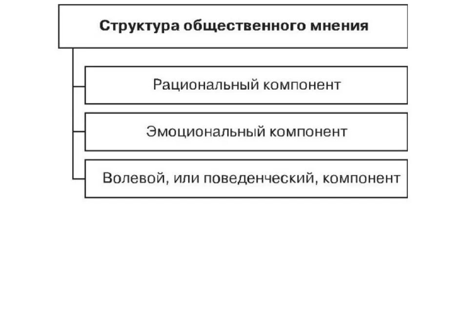 Структура и функции общественного мнения. Динамическая структура общественного мнения. Рациональный компонент общественного мнения. Общественное мнение понятие структура функции.