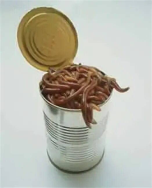 Can of worms. Open a can of worms.