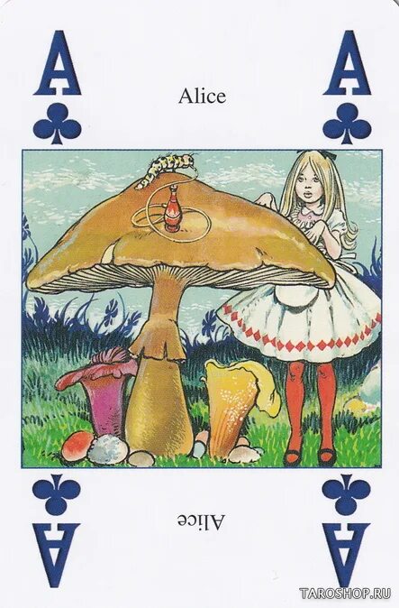 дом алисы карта