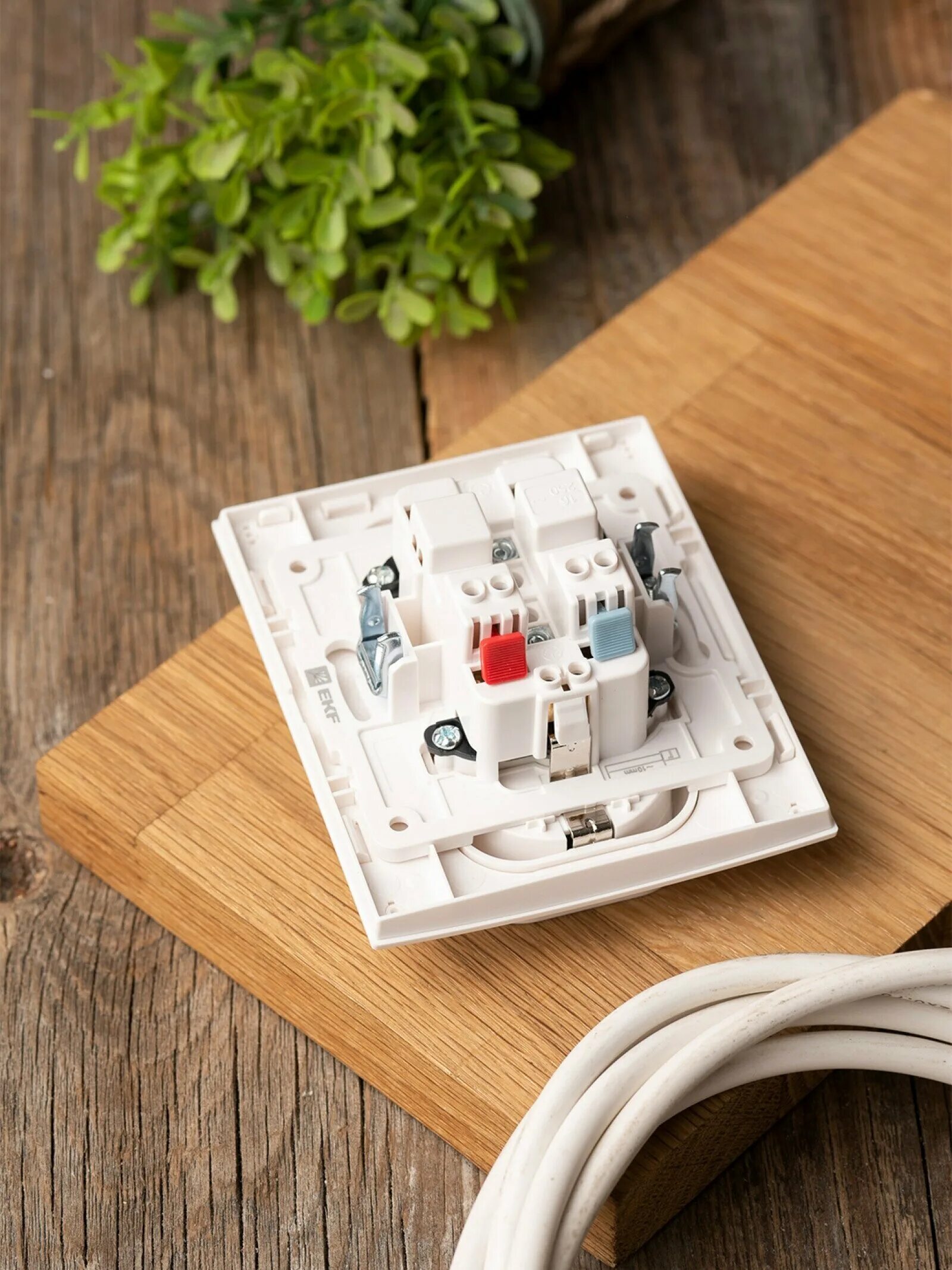 Ekf proxima. Штор. Proxima стокгольм. Стокгольм ekf проходной. Штор.