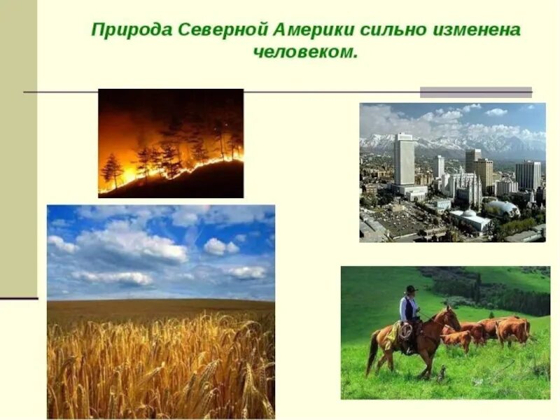 Влияние деятельности человека на природу северной америки. Влияние человека на природу Северной Америки. Изменение природы человеком. Хозяйственная деятельность и природа в США. Изменение природы человеком в Северной Америке.