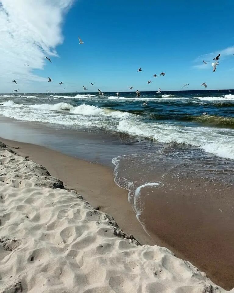 В польше есть балтийское море. Пляж на балтийском море мельно, польша. В польше есть балтийское море. Пляж балтийского моря в польше. Польша море.