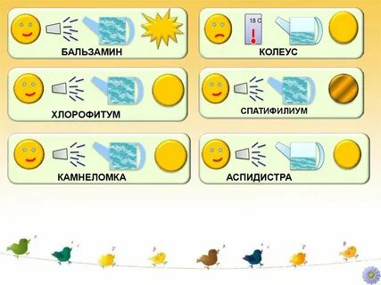 Маркировка цветов в саду