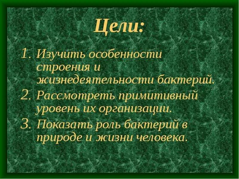 Вывод о разнообразии форм тела бактерий. Цель проекта на тему бактерии. Бактерии в жизни человека. Бактерии в жизни человека 6 класс. Вывод проекта бактерии.