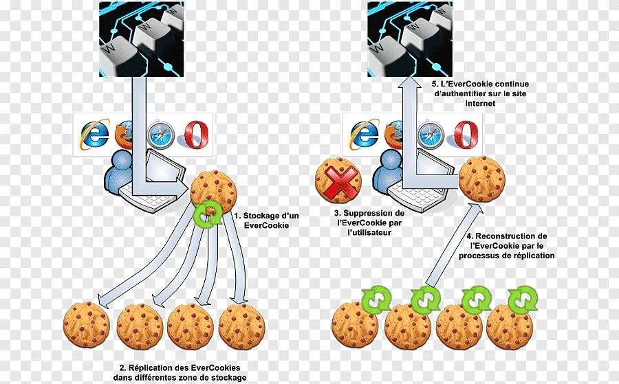 Информация в cookie. Йоу печенье программное обеспечение. Digital cookies. Evercookie. Flashlight cookies.