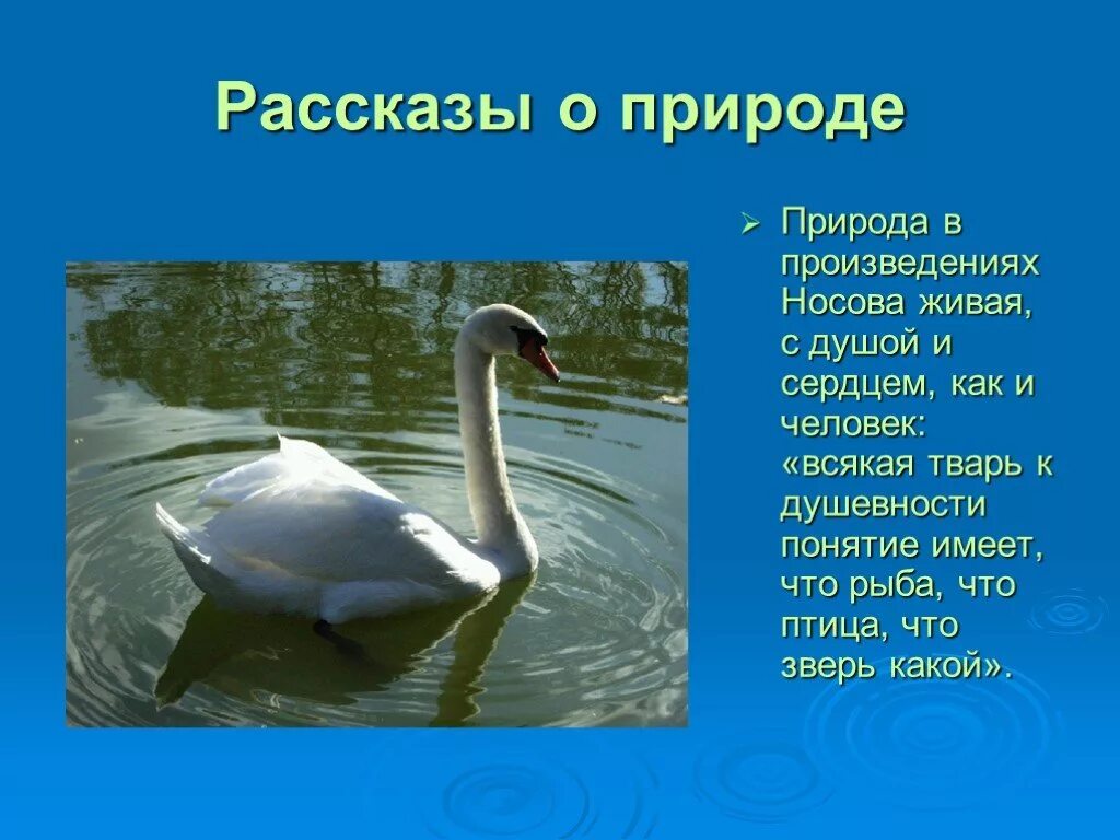 Рассказ живая душа. Рассказы о природе. Произведения о природе. Небольшой рассказ о живой природе. Рассказ о природе 4 класс.