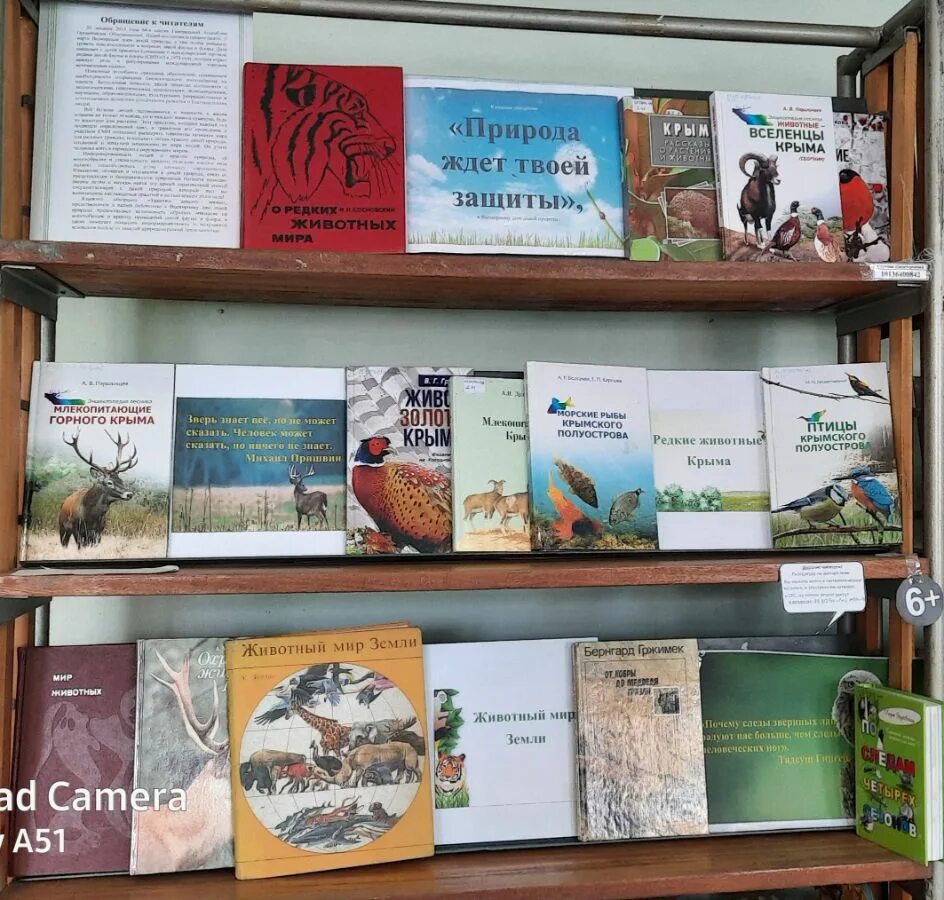 День дикой природы в библиотеке. Книжная выставка к всемирному дню дикой природы. Книжная выставка к всемирному дню дикой природы. День дикой природы в библиотеке. День дикой природы в библиотеке.