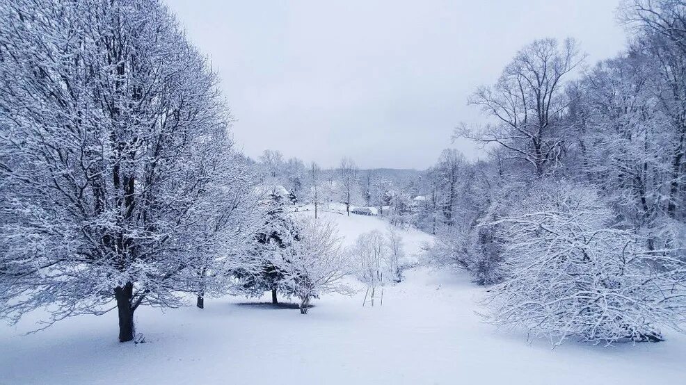 The most snowy. Winter weather. погода зима. weather about winter. weather in winter.