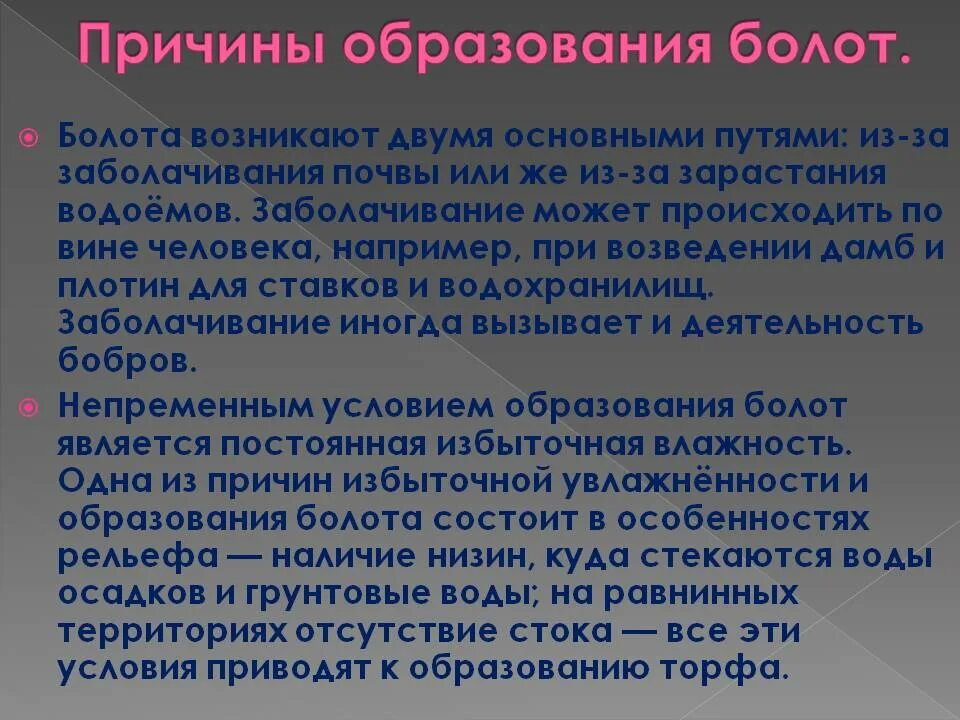 Что является основной причиной образования болот. Болота причины образования. факторы образования болота. причины возникновения болот. основные причины образования болот.