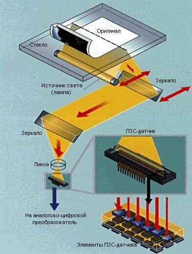 Включается сканер. Принцип работы сканера схема. Микросхема CCD матрица сканера. Принцип сканирования планшетного сканера. CCD сканер схема.