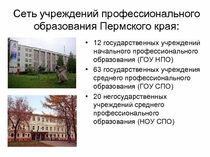 Учреждения образования пермского края