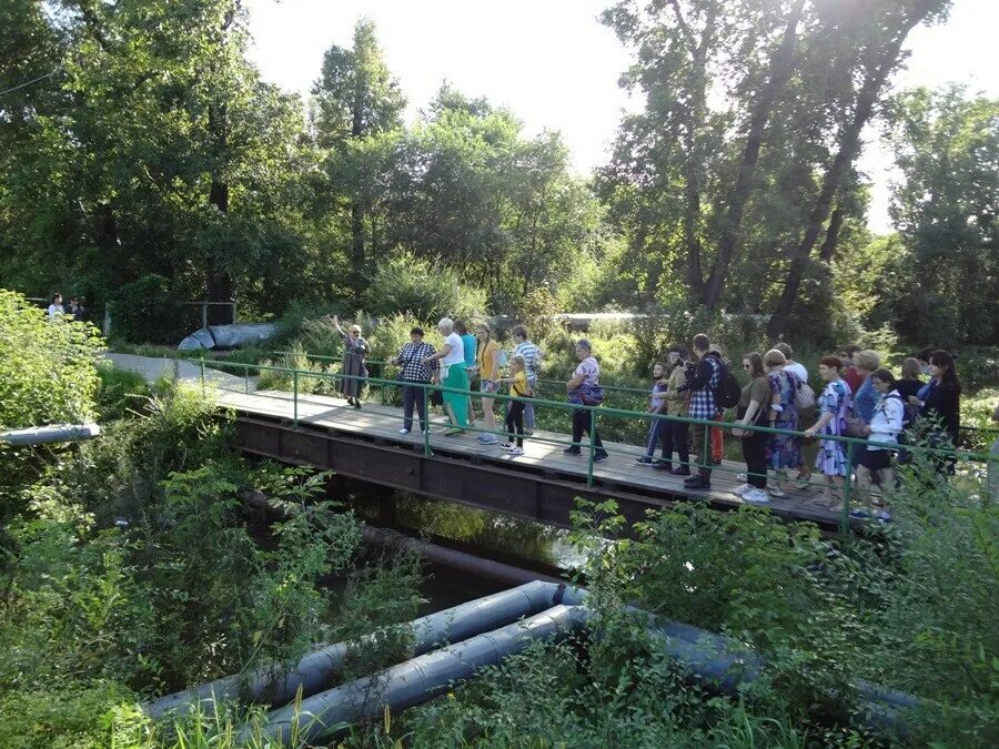 Бурхановка азовский район ростовской области. Бурхановка (река). Хутор Бурхановка. Хутор Бурхановка Ростовская область. Река Бурхановка Благовещенск.