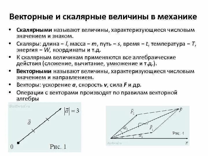 Векторная величина объем. Векторные физические величины и Скалярные. Векторные величины. Векторные физические величины в физике. Величина вектора.