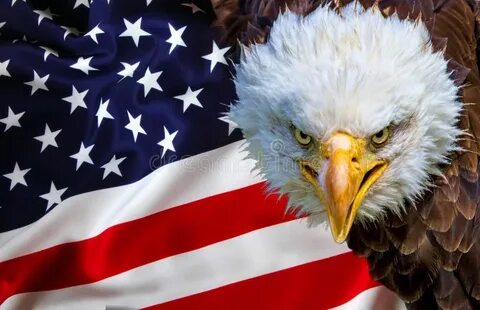 America but