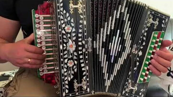 Новиков гармонист. Чувашский гармонист. Люба русая коса парни поселковые. Гармонь исполнение. Сорокин гармонист чувашия.