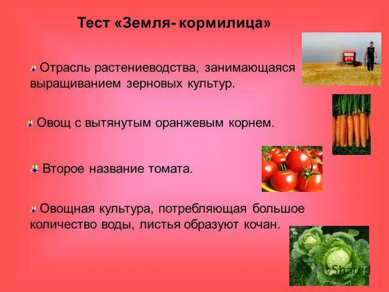 окружающий мир 4 тест земля кормилица. земля кормилица тест 4 класс. земля кормилица. тест по окружающему миру земля кормилица. окружающий мир 4 тест земля кормилица.