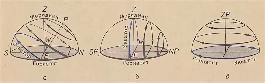 Наблюдатель горизонта