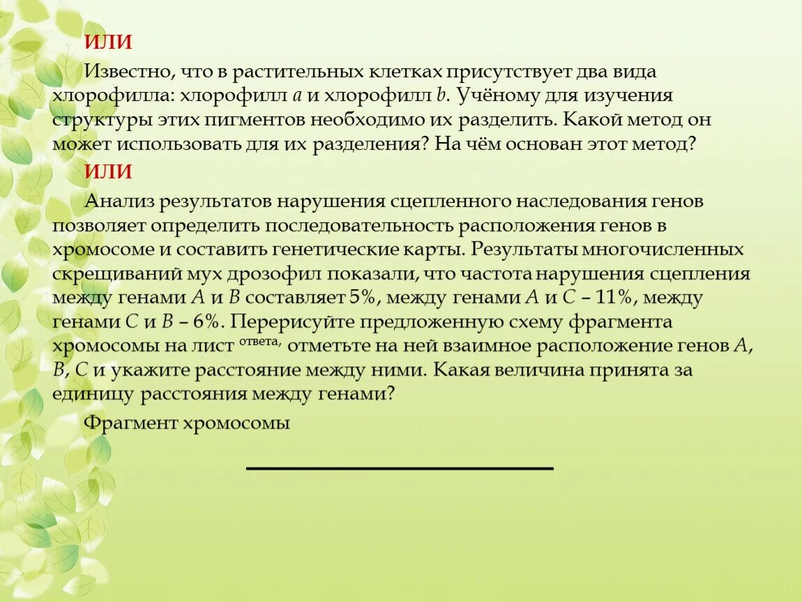 Хлорофилл не присутствует в клетках. 17. Хлорофилл не присутствует в клетках. В каких клетках листа отсутствует хлорофилл. Ячейка хлорофилла.