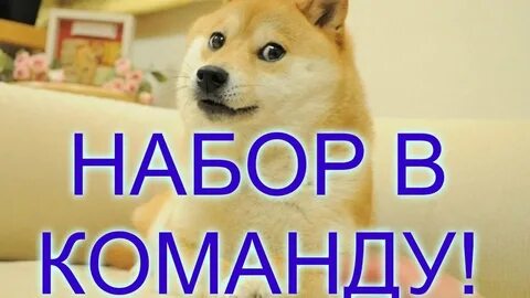 Набор в команду