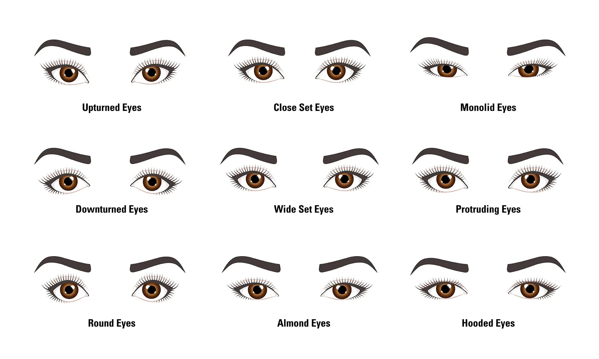 Form eyes. Макияж для выпуклой формы глаз. Схемы макияжа для разных форм глаз. Различные разрезы глаз. Глаз в разрезе.