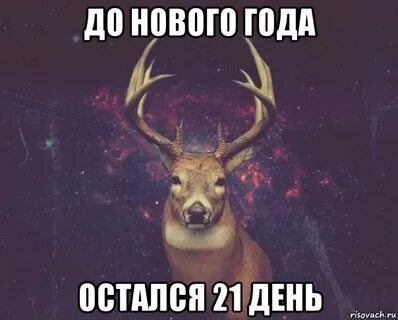 Осталось 21