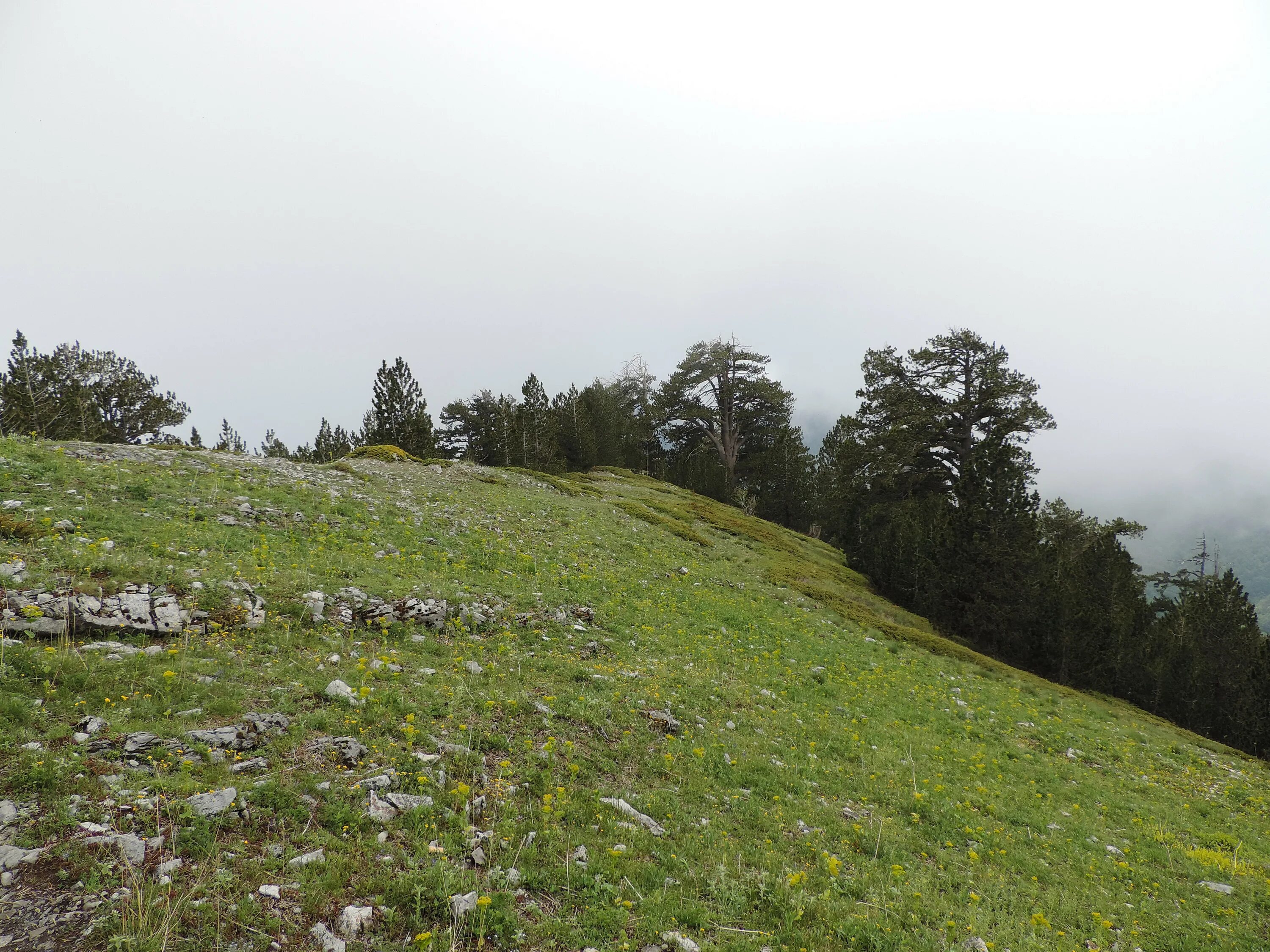Гластонбери тор. Склон холма. Село горицы владимирская. На пригорке взору открывается. Холм возвышенность пригорок.