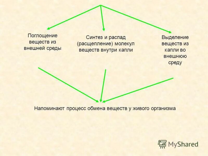 поглощение веществ
