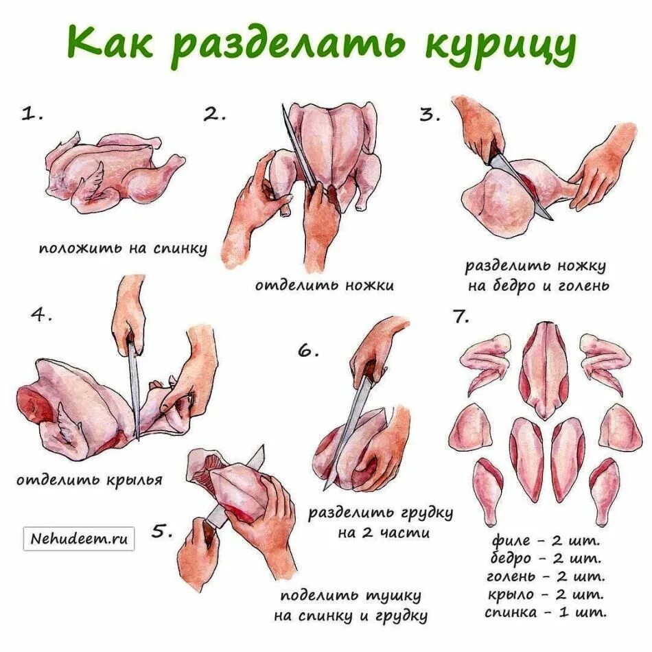 Курица пошагово фото. Схема разделки курицы. Технологическая схема разделки птицы на филе. Схема разделки тушки птицы. Как разделать тушку курицы.