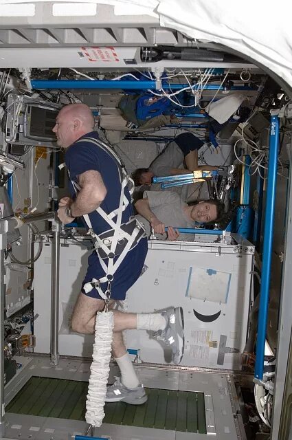Правда ли что космонавты в космосе. Туалет на космической станции. Туалет Космонавтов. Тренажеры для Космонавтов. Туалет у Космонавтов в космосе.