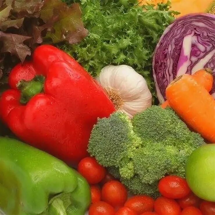 Курсовая работа овощи