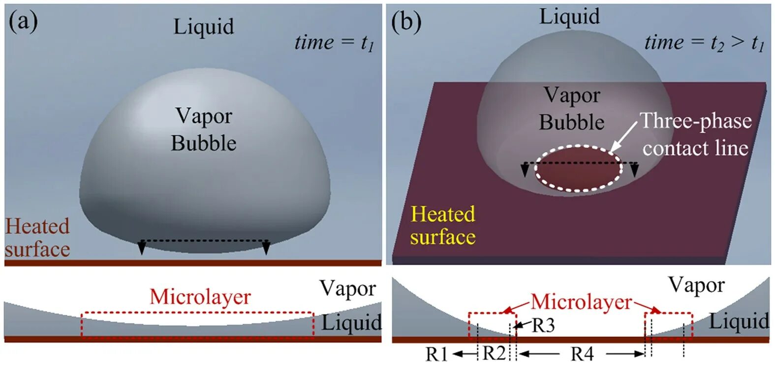 Bubble phase. Contact line. Stages of a Bubble. Modeling and Simulation of phase change materials book.